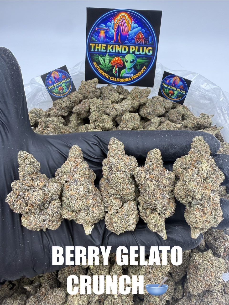 BERRY GELATO CRUNCH Slide 1